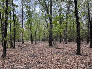 0 Eclipse Rd, St. Joe, AR 72675