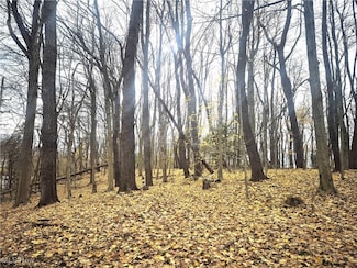 Parcel 1 Auburn Rd, Chardon, OH 44024