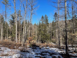 0 Reed Rd Unit 4900137, Marlow, NH 03456