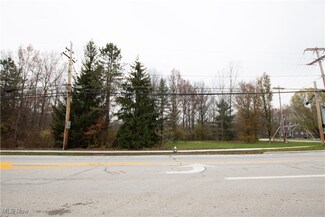 0 Schady Rd Unit 5086058, Olmsted Falls, OH 44138