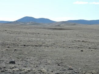 0 Nipmuck Trail Unit S1048644, Hartsel, CO 80449