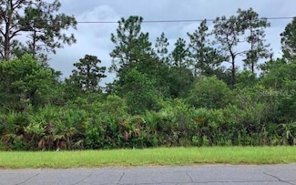 0 Palmland St Unit MFRS5130416, Orlando, FL 32833