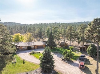 8339 Stagestop Rd, Piedmont, SD 57769