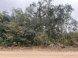 0 Hudson Trail Unit MFROK224695, Interlachen, FL 32148