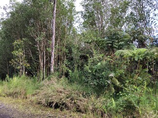 0 Road 9 Unit 711132, Volcano, HI 96785