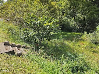 8835 Maple Rd, Pound, VA 24279