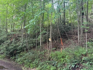 0 Pump St Unit 190 88312, Fayetteville, WV 25840