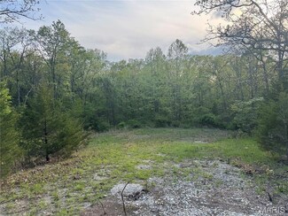 0 Stanton Farms Rd Unit MAR25027664, Sullivan, MO 63080