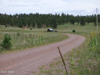 Lot 16A the Ranch at Alpine, Alpine, AZ 85920