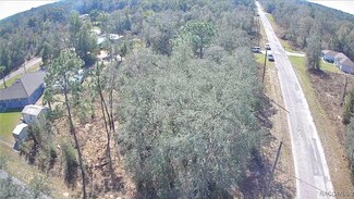 2332 W Summer Place, Citrus Springs, FL 34434