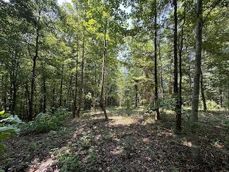 12.55ac Winningham Rd, Byrdstown, TN 38549