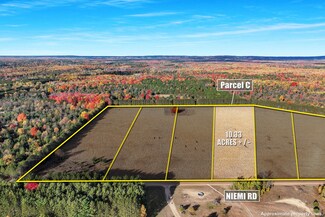 0 V L 10 33 Acres Niemi Rd Unit PARCEL C, Kaleva, MI 49645