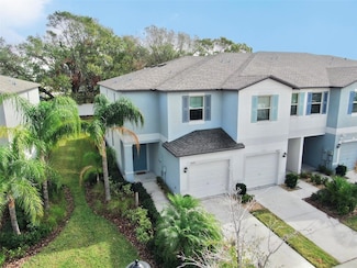 3818 Cat Mint St, Tampa, FL 33619