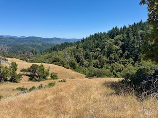 6355 Redwood Creek Dr, Willits, CA 95490