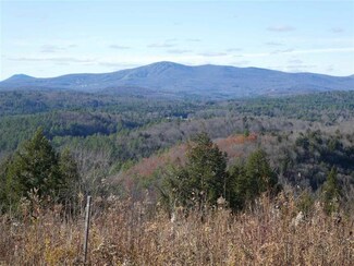 3302 Under the Mountain Rd, South Londonderry, VT 05155