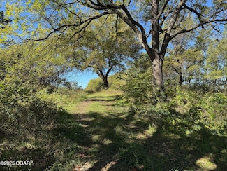 XXX-A Teal Dr, Newtonia, MO 64853