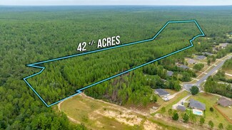 42 AC Welannee Blvd, Laurel Hill, FL 32567