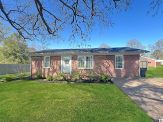 51 Shadetree Ln, Farmington, KY 42040