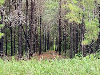 0 James Rd Unit Lot 9 379946, Foley, AL 36535