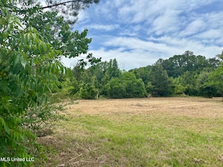 0 Jessie Ln, Picayune, MS 39466