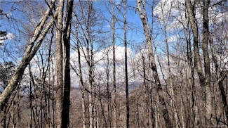 0000 Wild Turkey Dr Unit Lot 15 Sec 4, De Soto, NC 28789