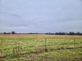 000 County 220, Preston, MO 65732