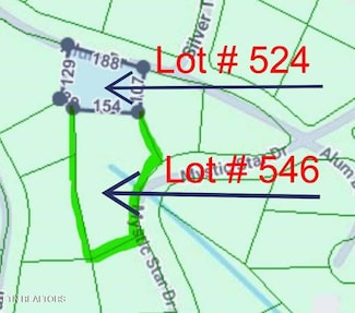 0 Alum Dr Lot #524 Dr, New Tazewell, TN 37825