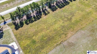 TBD State Road S-21-712, Timmonsville, SC 29161