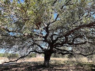 12609 Pauls Valley Rd, Austin, TX 78737