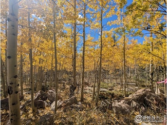 0 Bear Gulch Rd Unit 1047103, Red Feather Lakes, CO 80545