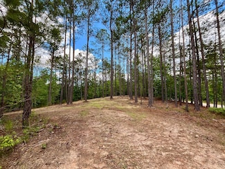 0 Rollin Mill Rd Unit 23477598, Franklin, GA 30217