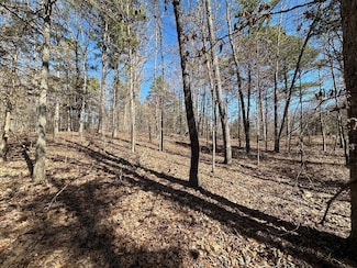 000 Whispering Pines Ln, Licking, MO 65542
