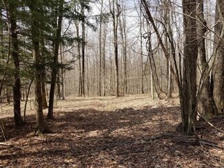 0 Bryan Rd Unit 401880, Erin, NY 14838