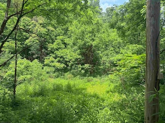 Lot 2 Jesse's Run Rd, Fairview, WV 26570