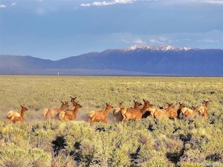 1A N 2 Ln, Mosca, CO 81146