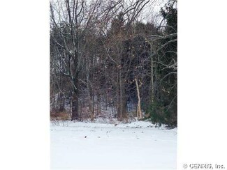 00 Hiddenpond Ln, Walworth, NY 14568
