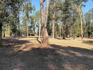 334 Par Road 50, Montpelier, LA 70422