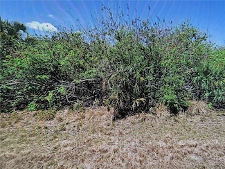 343 Flynn St, Port Charlotte, FL 33954