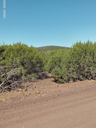 0 3193, Vernon, AZ 85940