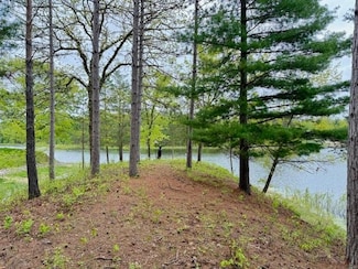 4682 Mohawk Trail, Gladwin, MI 48624