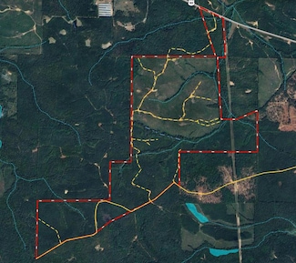 650+/- Highway 80, Butler, GA 31006