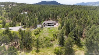 1988 Lake Dr, Larkspur, CO 80118
