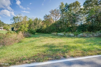 Tbd Clinch River Hwy, Fort Blackmore, VA 24250