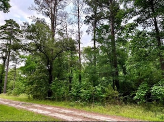 TBD Lakeside Cir, Trinity, TX 75862