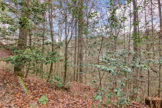 Lot 2 Laurel Overlook Rd, Ellijay, GA 30540