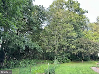 0 Tadpole Rd, Ferguson Township, PA 16865