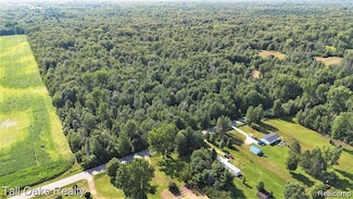 000 Caine Rd, Vassar Township, MI 48768