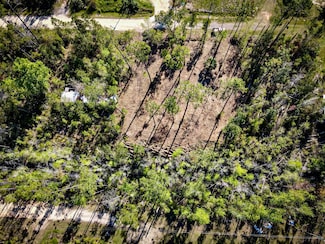 TBD SW Catfish Canal, Kinard, FL 32449