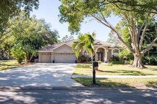 3194 Meadow View Ln, Palm Harbor, FL 34683