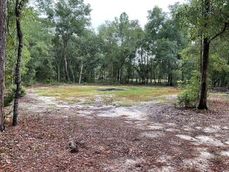 104 Oakwood Village Ln, Hawthorne, FL 32640
